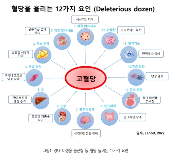 2형 당뇨병 전세계 당뇨 환자 5억 3 700만명 중 90 차지 40세 이전 젊은 나이 발병 늘어 경각심 필요